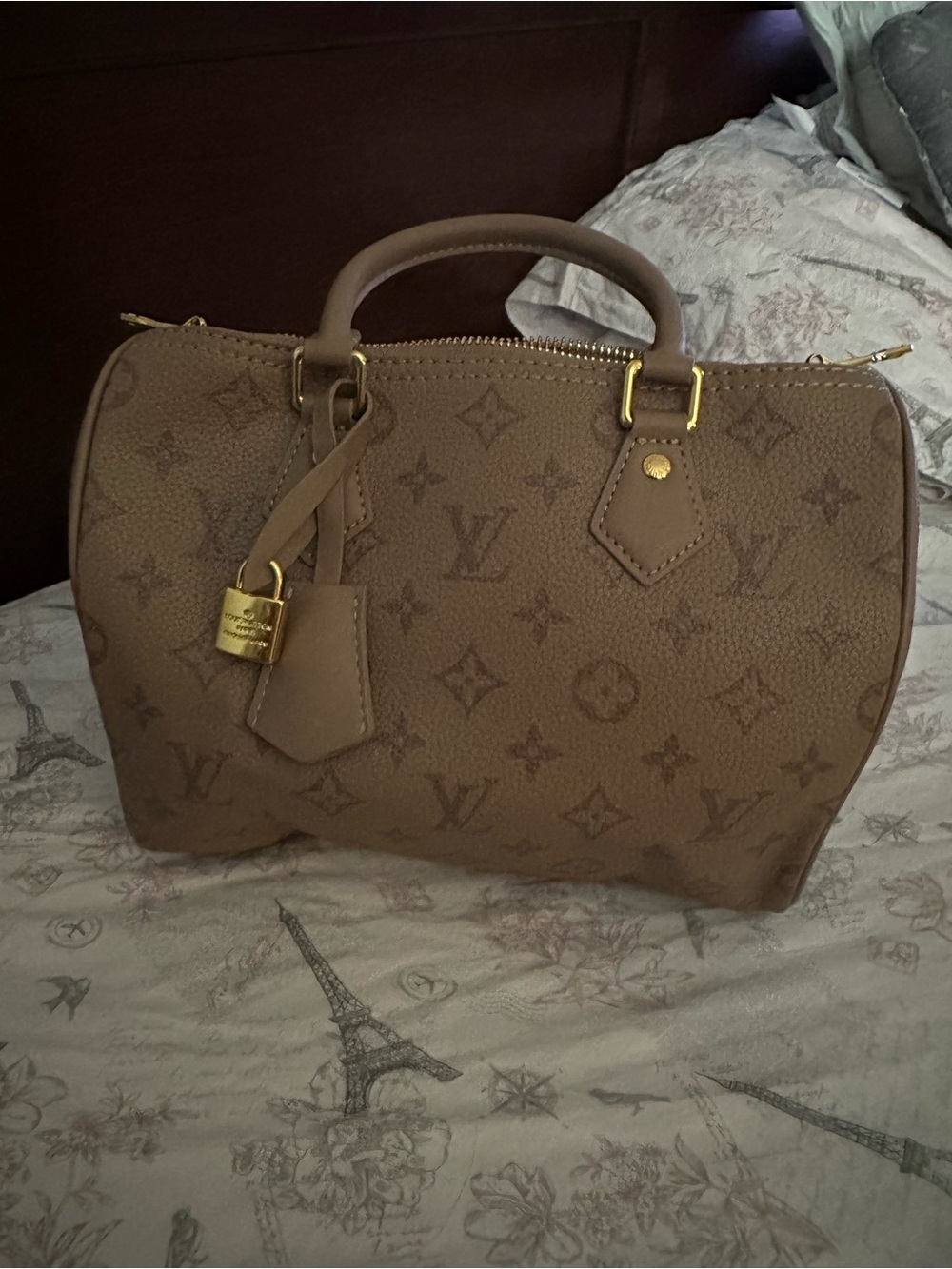 Speedy bag Taupe Monogram - Picture 6 of 6